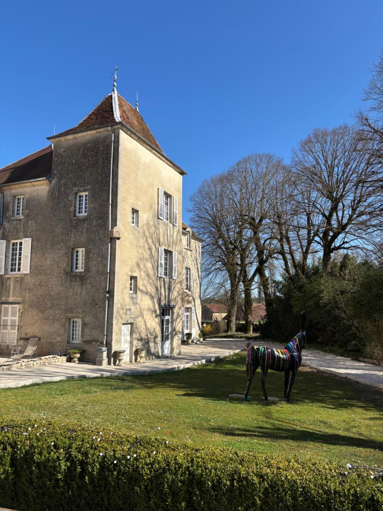 Chateau La Hussardiere Dampierre-sur-Salon Kültér fotó
